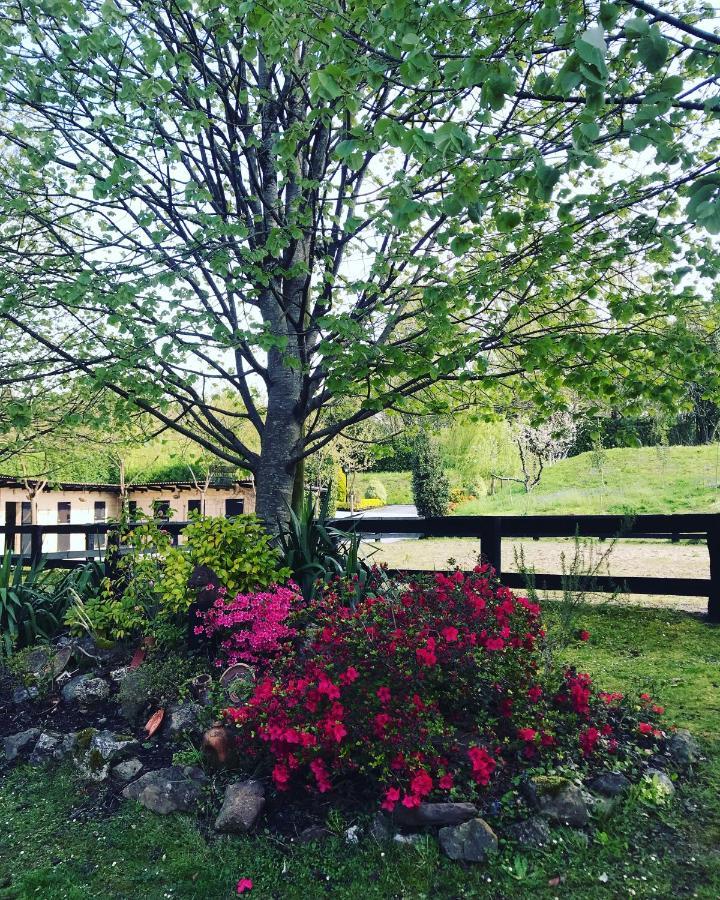Agroturismo Anziola Oiartzun Exterior photo